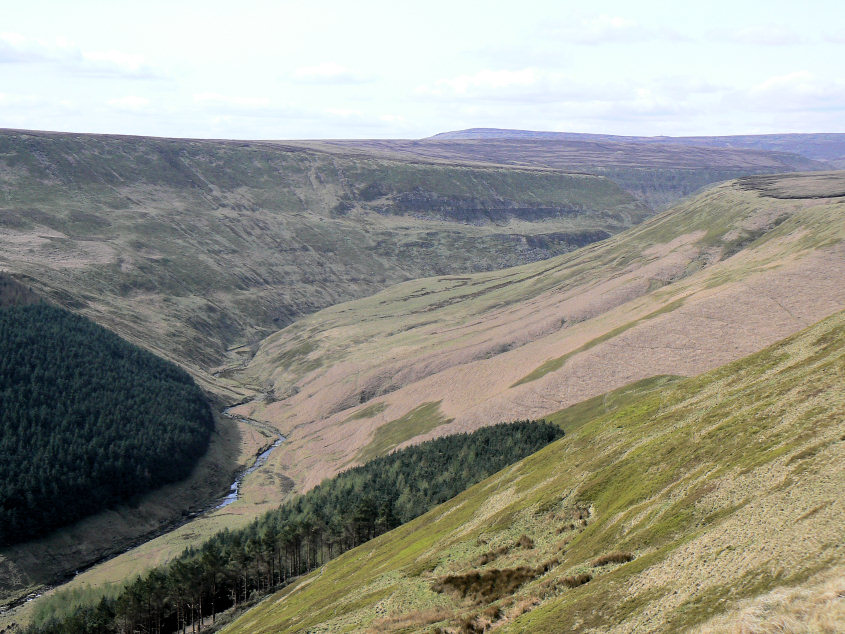 Alport Dale Alport Dale